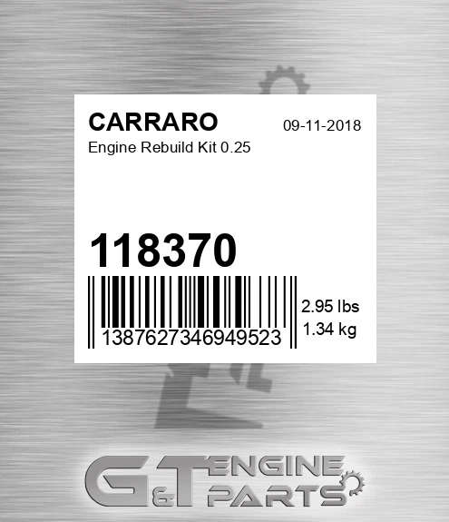 118370 CARRARO Engine Rebuild Kit 0.25