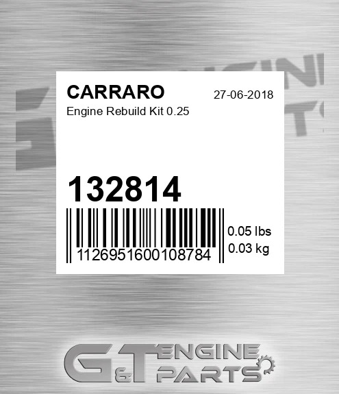 132814 Engine Rebuild Kit 0.25