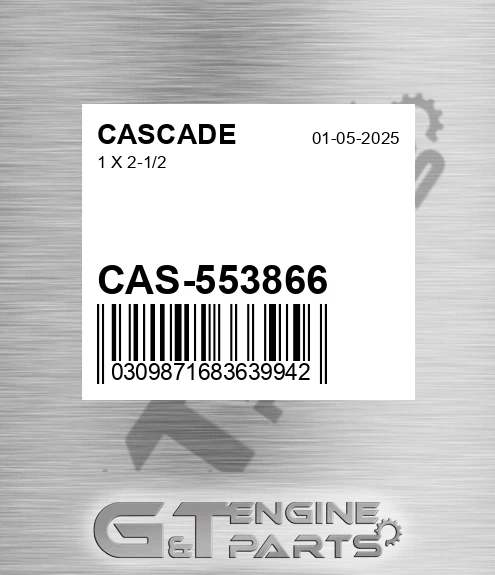 CAS-553866 1 X 2-1/2
