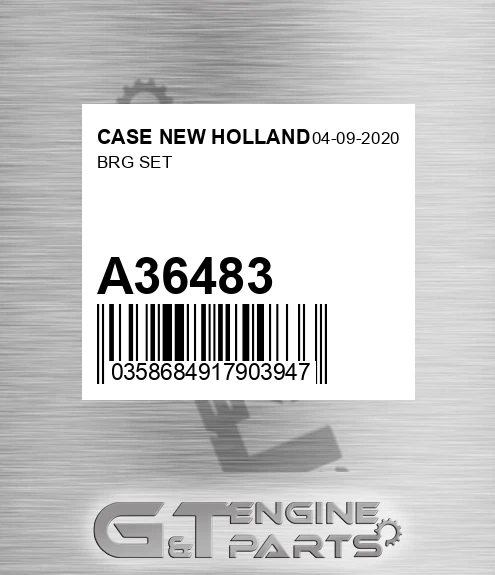 A36483 Brg Set for CASE NEW HOLLAND