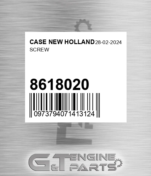 861-8020 Screw