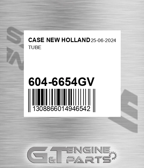 604-6654GV Tube