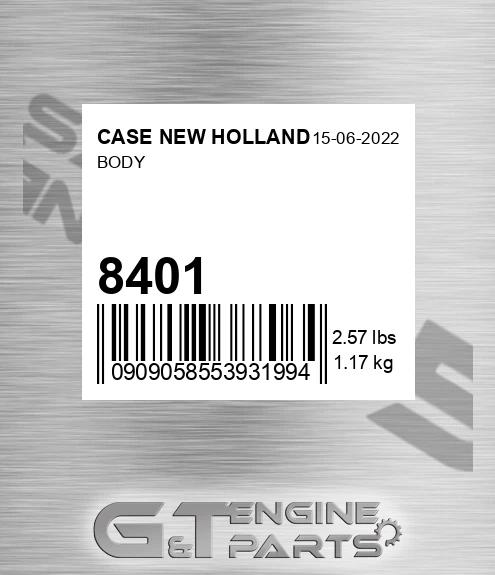 8401 Body
