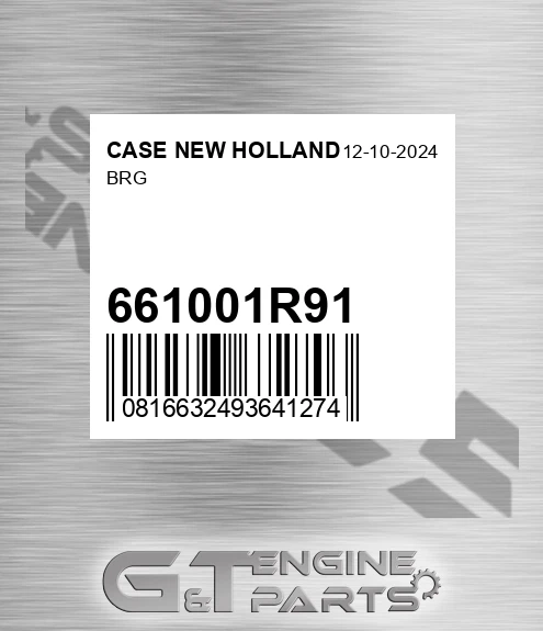 661001R91 Brg