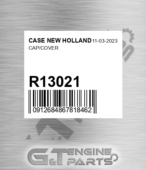R13021 Cap/cover