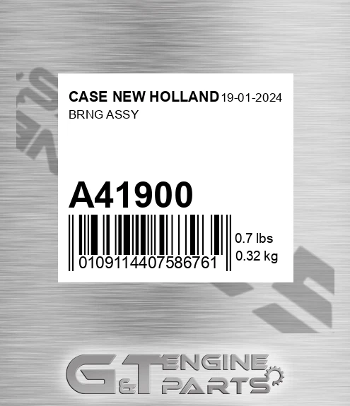 A41900 Brng Assy