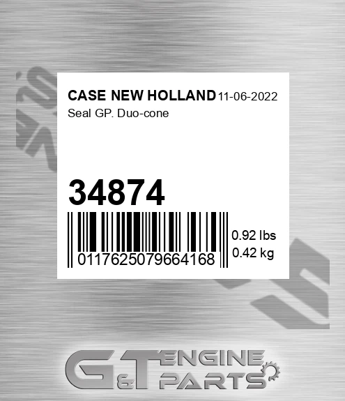 34874 Seal Gp. Duo-cone