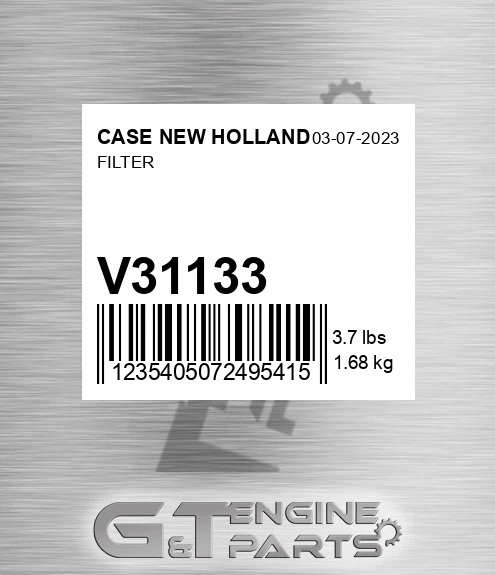 V31133 Filter