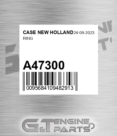 A47300 Ring for CASE NEW HOLLAND