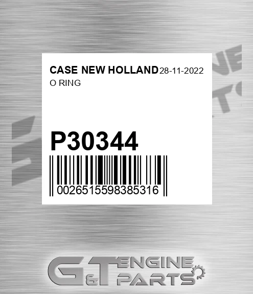 P30344 CASE NEW HOLLAND O Ring
