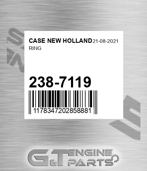 238-7119 Ring