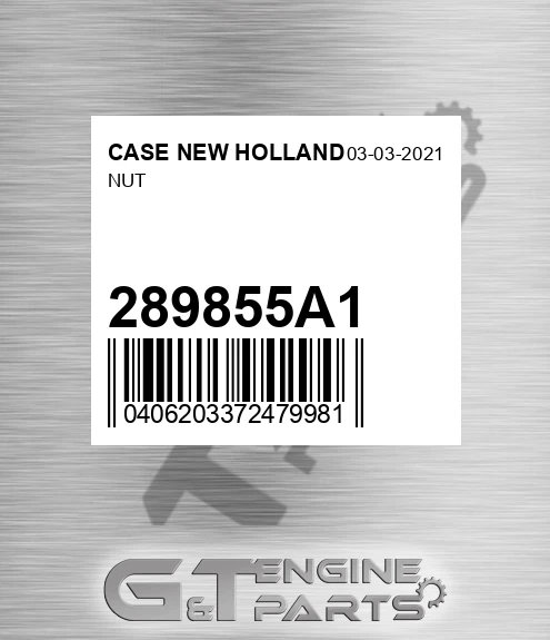 289855A1 Nut for CASE NEW HOLLAND