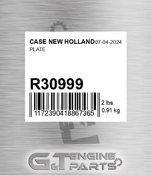 R30999 Plate