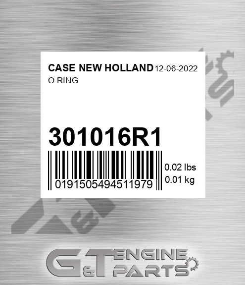 301016R1 O Ring for CASE NEW HOLLAND