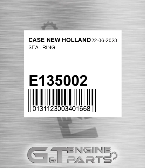 E135002 Seal Ring