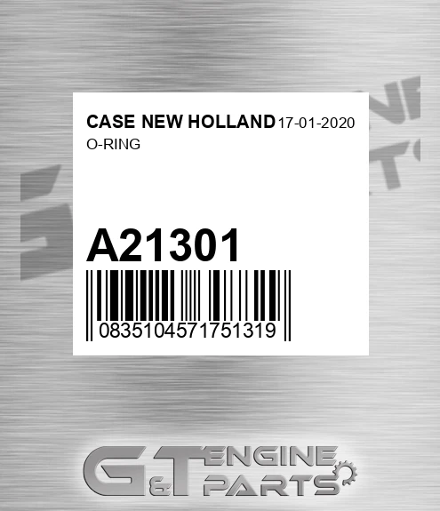 A21301 O-ring