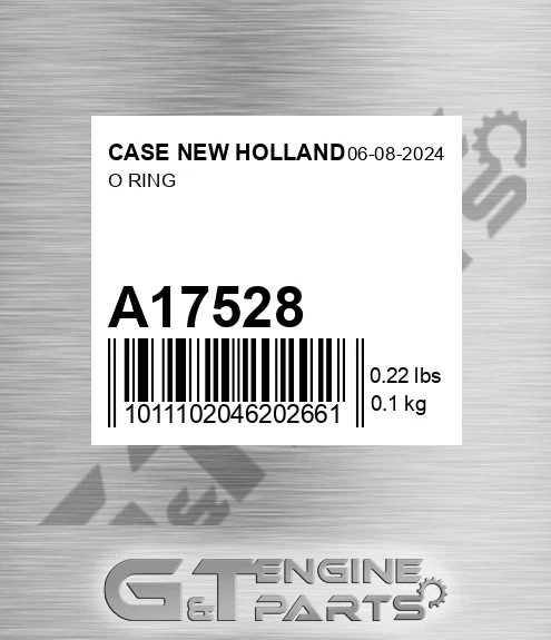 A17528 O Ring