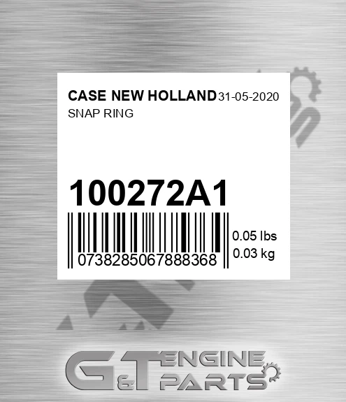 100272A1 Snap Ring