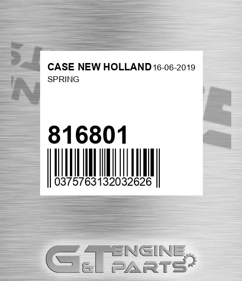 816801 Spring