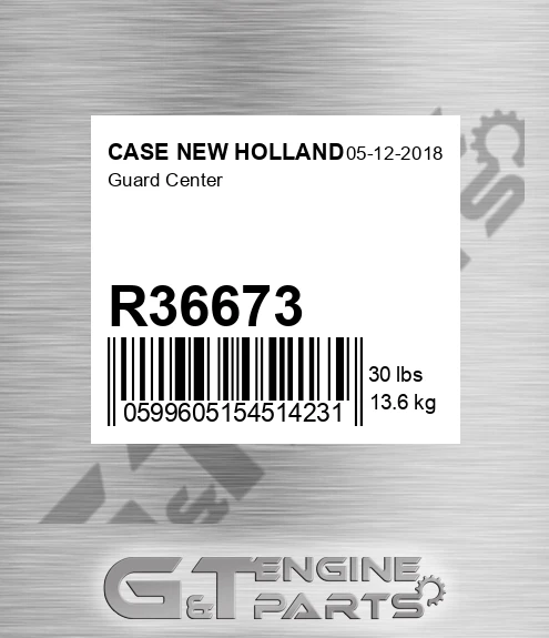 R36673 CASE NEW HOLLAND Guard Center