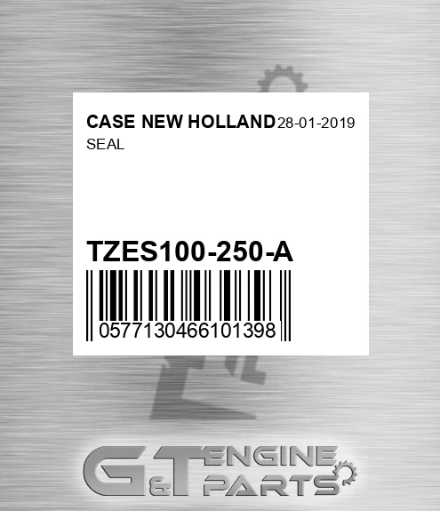 TZES100-250-A Seal