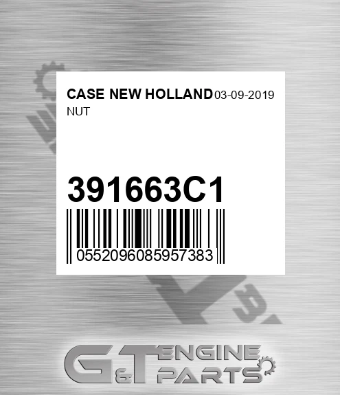 391663C1 CASE NEW HOLLAND Nut