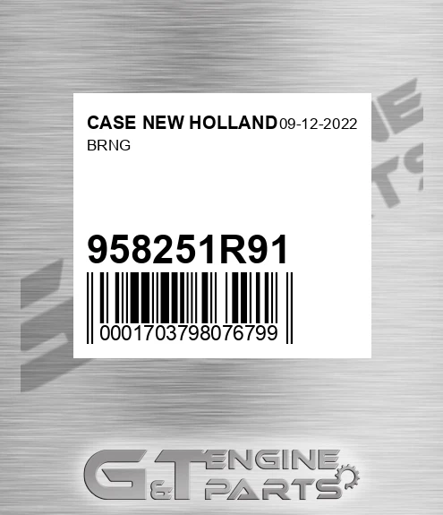 958251R91 Brng for CASE NEW HOLLAND
