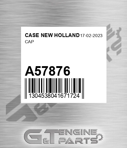 A57876 Cap
