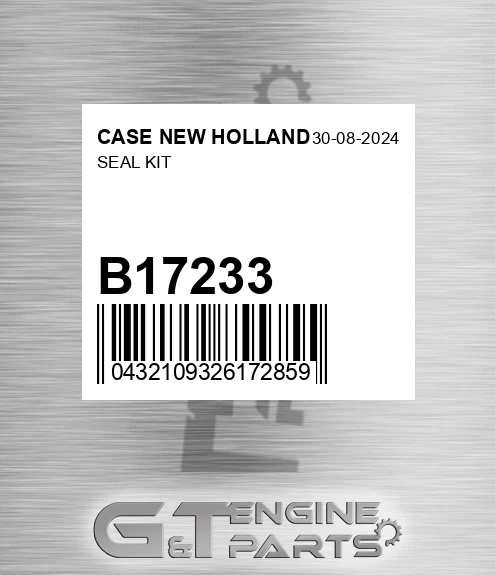 B17233 Seal Kit
