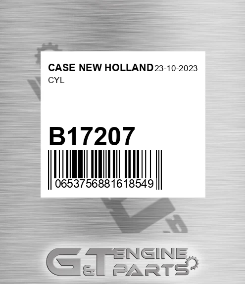 B17207 Cyl