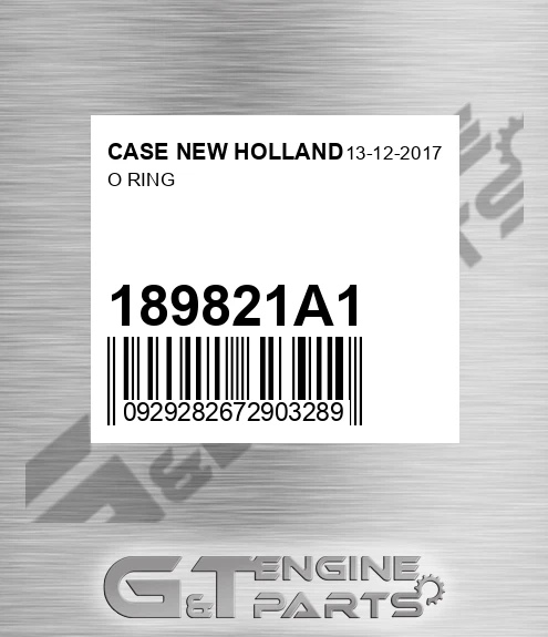 189821A1 O Ring