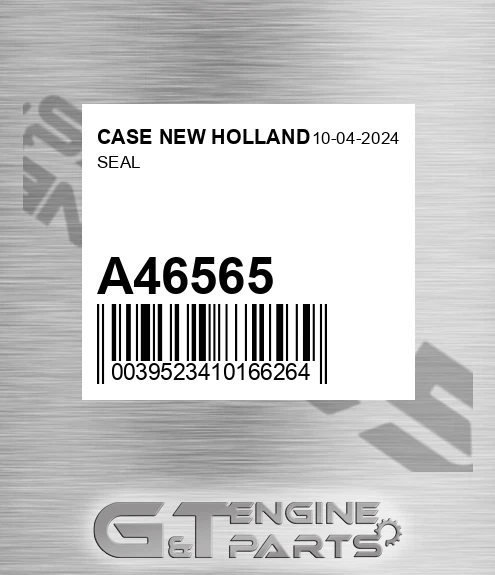 A46565 Seal for CASE NEW HOLLAND