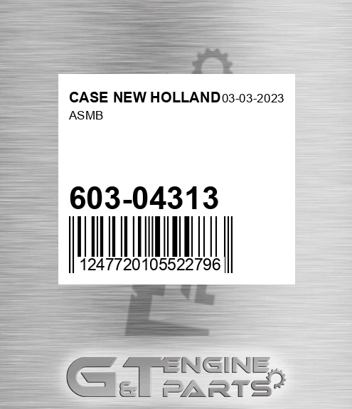 603-04313 Asmb
