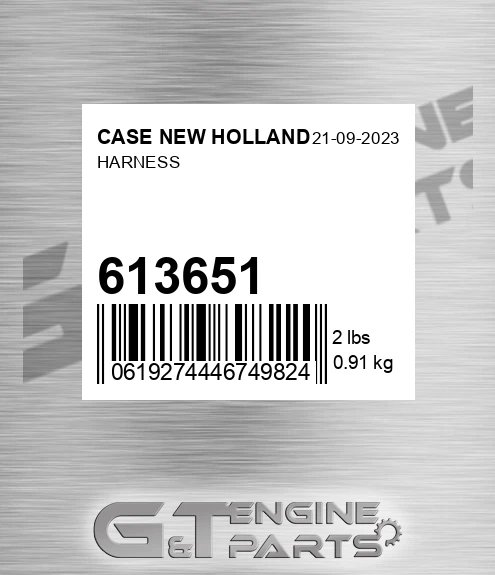 613651 CASE NEW HOLLAND Harness