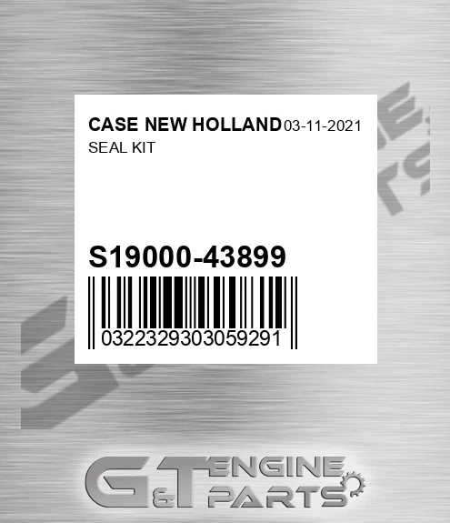 S19000-43899 Seal Kit
