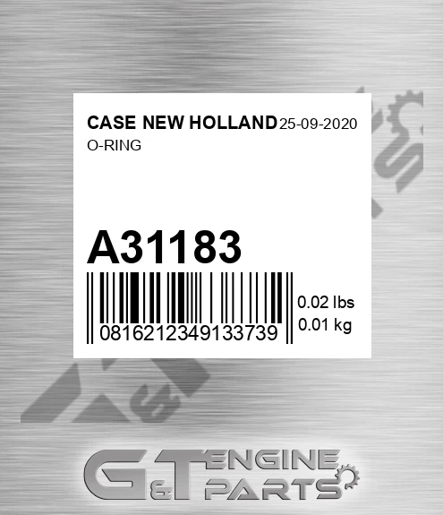 A31183 CASE NEW HOLLAND O-ring