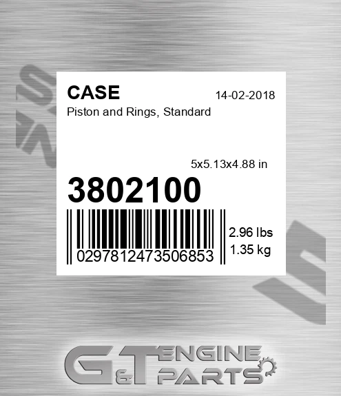 3802100 Piston And Rings, Standard