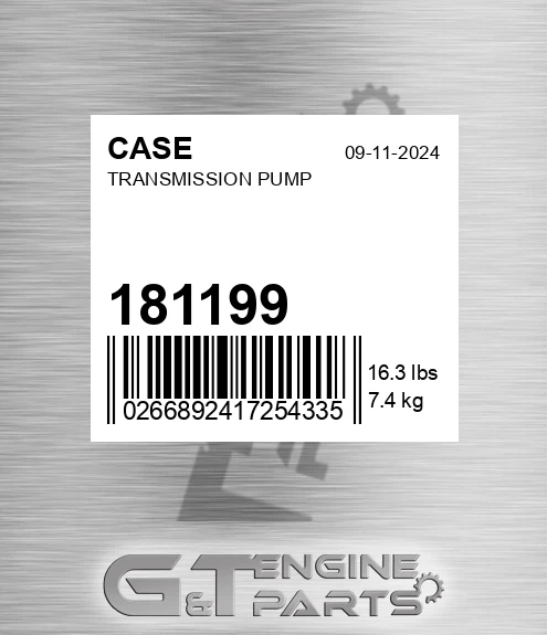 181199 Transmission Pump