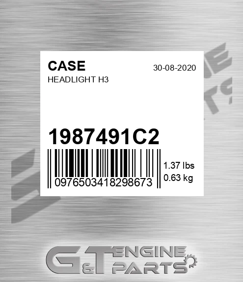 1987491C2 Headlight H3