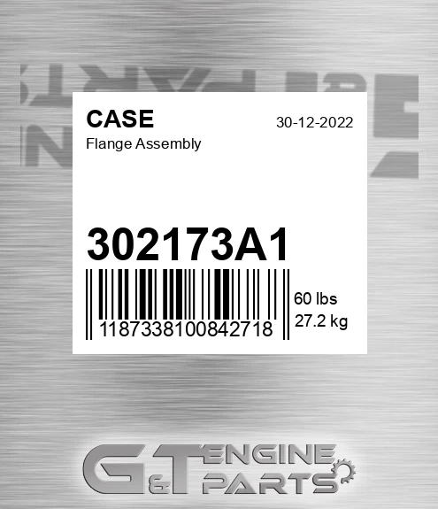 302173A1 CASE Flange Assembly