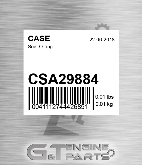 CSA29884 CASE Seal O-ring