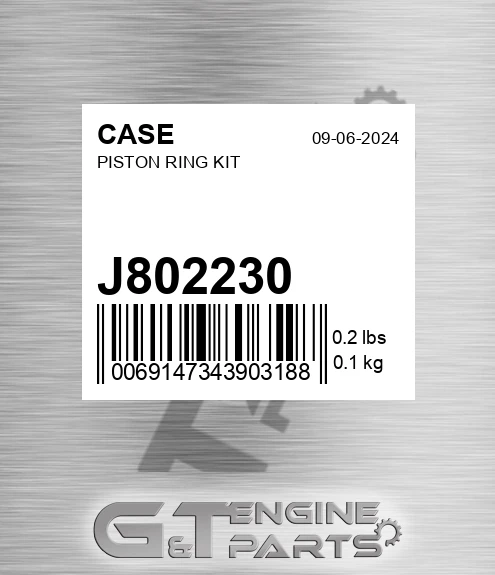 J802230 CASE Piston Ring Kit