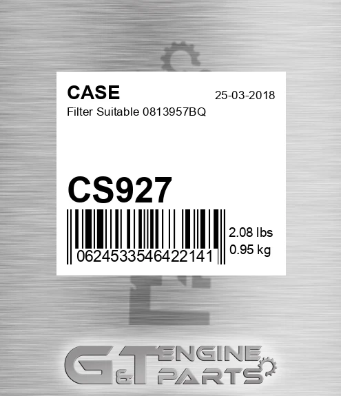CS927 Filter Suitable 0813957bq