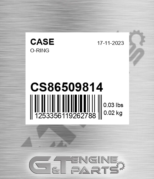 CS-86509814 O-ring for CASE
