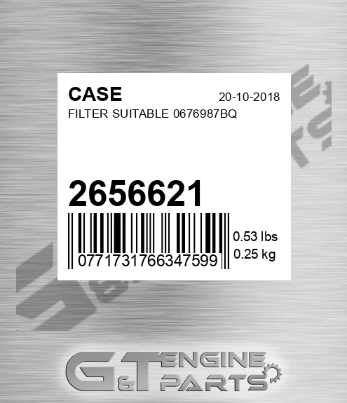2656621 CASE Filter Suitable 0676987bq