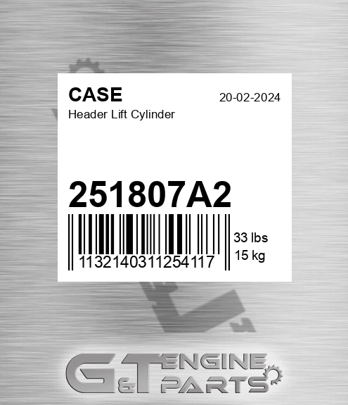 251807A2 CASE Header Lift Cylinder