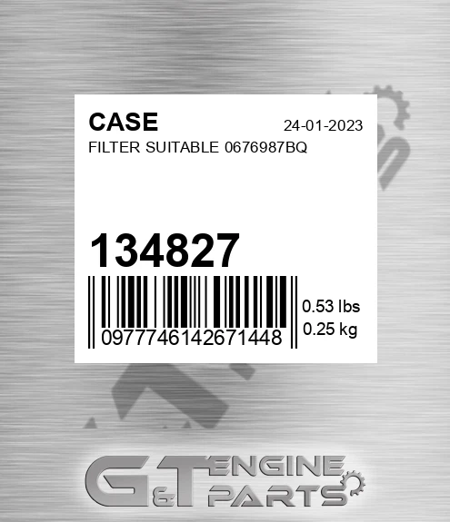 134827 CASE Filter Suitable 0676987bq