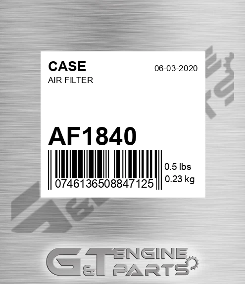 AF1840 CASE Air Filter