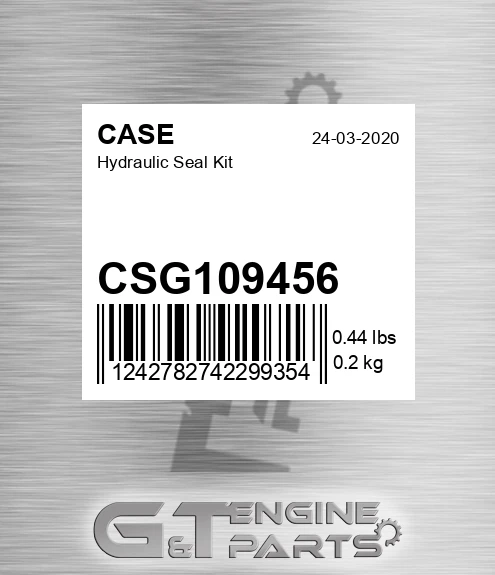 CSG109456 CASE Hydraulic Seal Kit