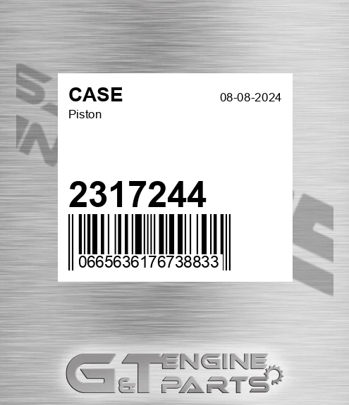 2317244 Piston